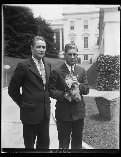 President Hoover presents oppossum to boy's baseball team as mascot. President Hoover solved the dilemma the Hyattsville High School baseball team found themselves in when their oppossum mascot strayed away. The Chief Executive directed that an oppossum that picked the White House for a home be turn