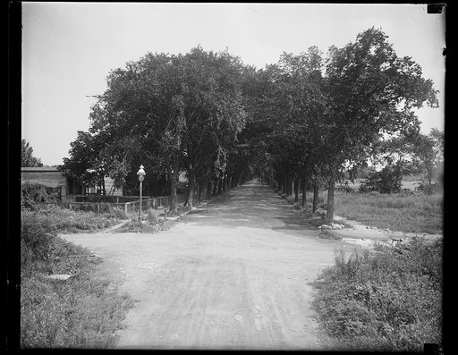 View of V Street, S.W., Washington, D.C.