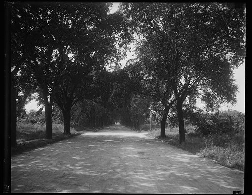 Street view, Washington, D.C.