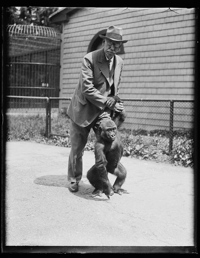 Man with ape