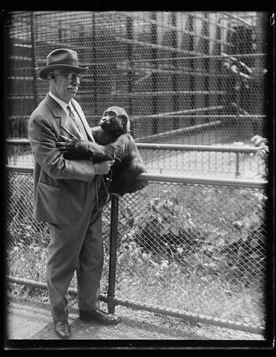 Man with ape