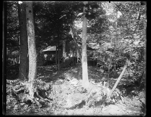 Cabin in forest
