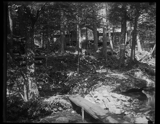 Cabin in forest