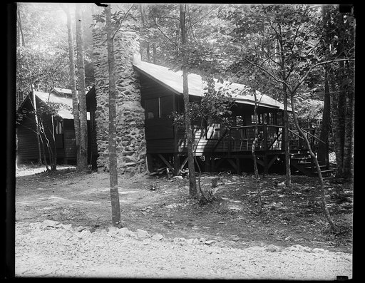 Cabin in forest