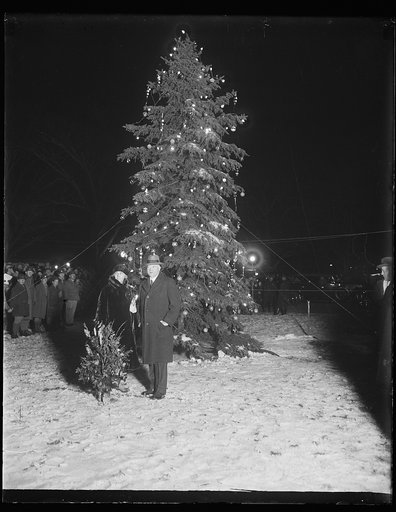 President Hoover lights Nation's Capital community Xmas tree. President Hoover pressed the button that set the community Christmas tree of the National Capital ablaze with varied colored lights tonight, Christmas Eve, December 24. The Chief Executive was accompanied by Mrs. Hoover while members of t