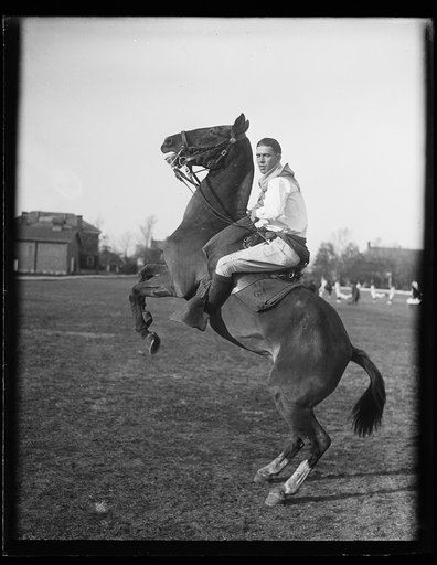 Horse rearing