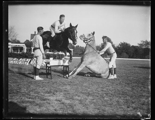 Horse jumping