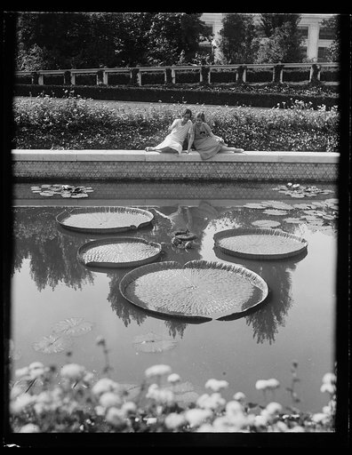 Women sitting next to lily pond