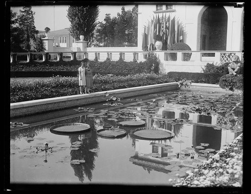 Women at lily pond
