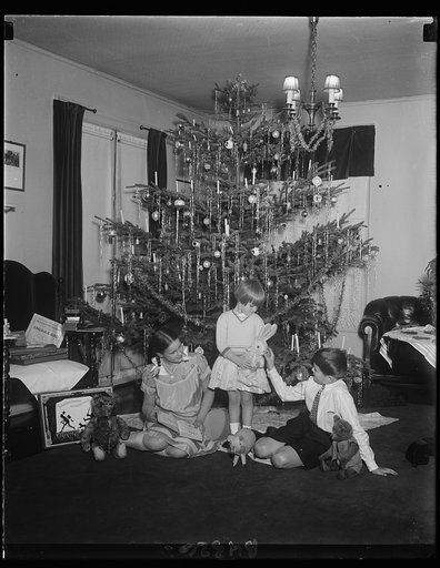 Perhaps the Rhineland grows bigger yule trees than this one, but these German kiddies are quite happy with the American product. They are Adelaide, Hubert and Charlotte, children of Rudolph Leitner, First Secretary of the German Embassy, and Mrs. Leitner