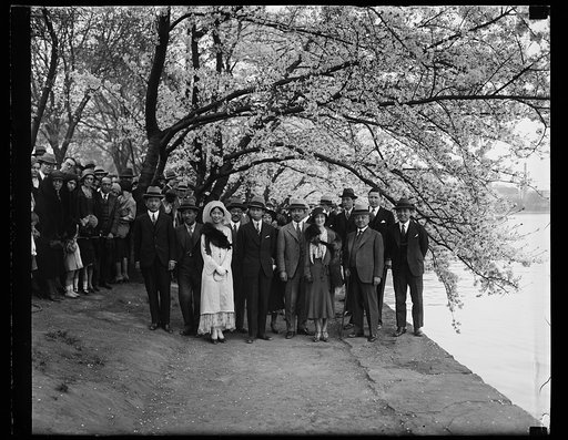 Royal Japanese couple, Prince and Princess Takamatsu posed with  group by cherry blossoms, Tidal Basin, Washington, D.C.