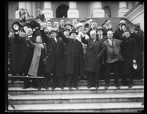 Group on steps of U.S. Capitol; James J. Davis, 3rd from right in front. Washington, D.C.