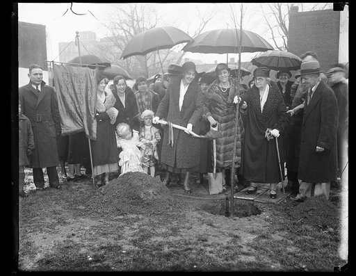 Lou Hoover and group planting tree
