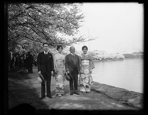 Japanese ambassador and family view cherry blossoms. The beautiful Japanese cherry blossoms which draw thousands of visitors to Washington every year were viewed by the Japanese Ambassador and his family today