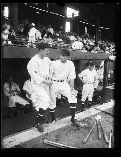 Washington baseball