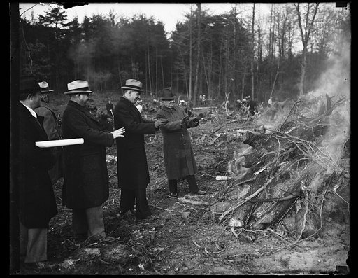 Group at land clearing