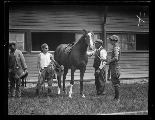 Horses