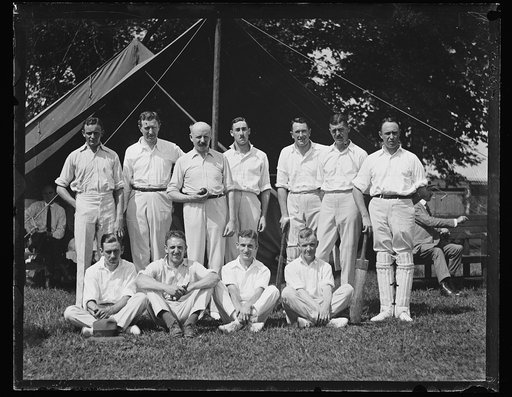 Cricket