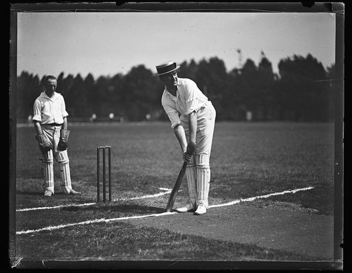 Cricket
