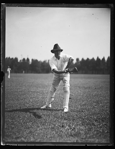 Cricket