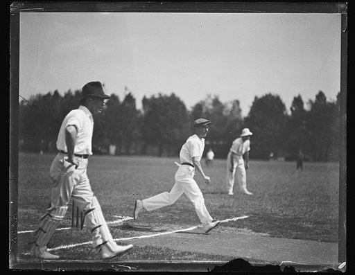 Cricket