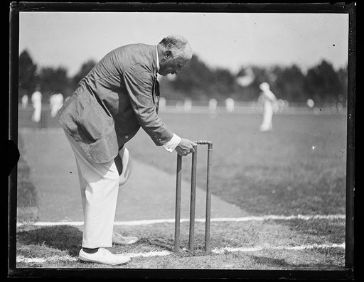 Cricket