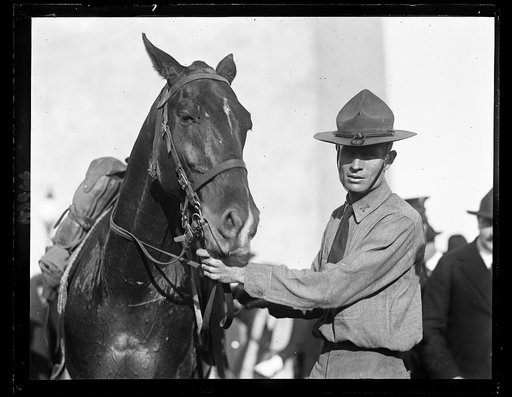 Cavalry, Washington Monument, Washington, D.C.