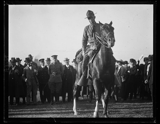 Cavalry