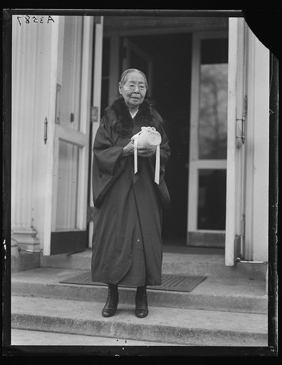 Visitor at White House, Washington, D.C.