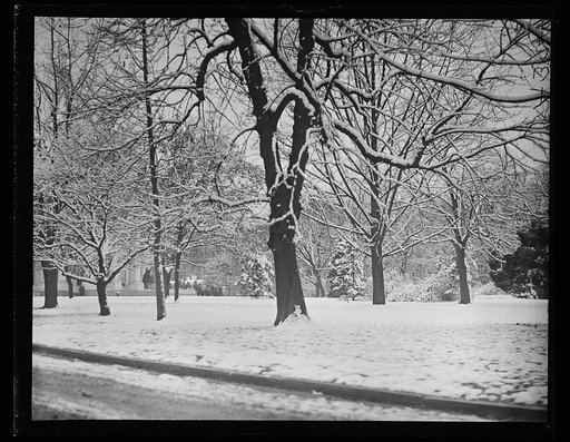 Snow, Washington, D.C.