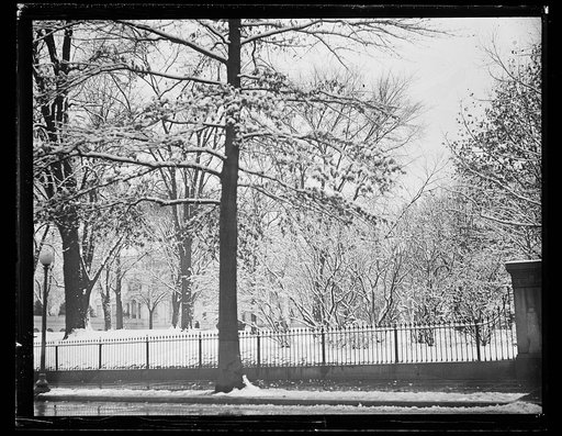 Snow at White House, Washington, D.C.