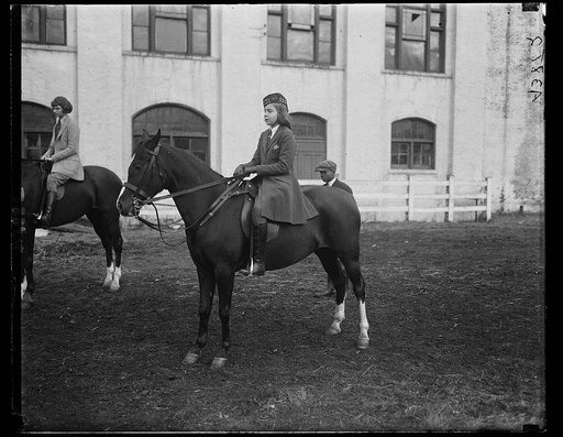 Horses