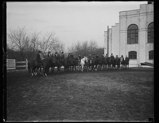 Horses