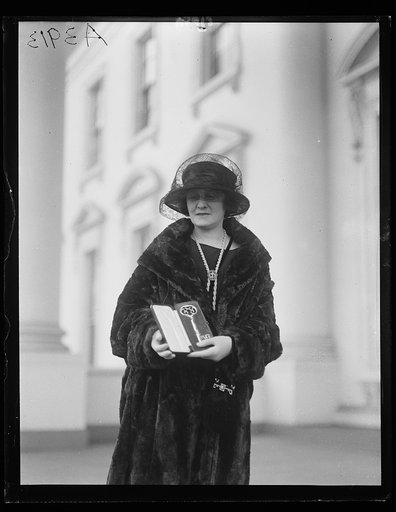 White House visitor, Washington, D.C.