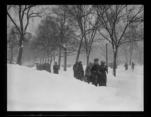 Snow, Washington, D.C.