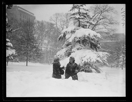 Snow, Washington, D.C.