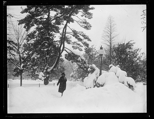 Snow, Washington, D.C.