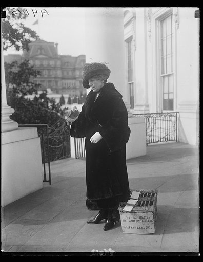 Florence Harding, White House, Washington, D.C.