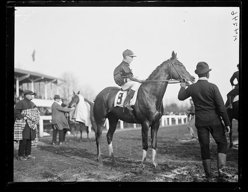 Horse racing