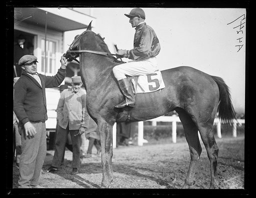 Horse racing