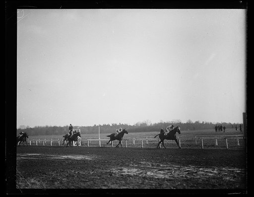 Horse racing