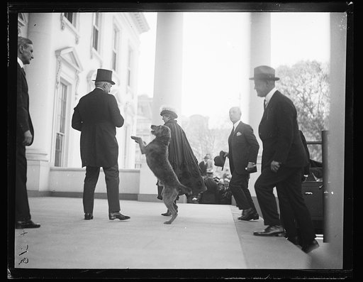 Warren Harding and dog "Laddie Boy?" on White House porch, Washington, D.C.