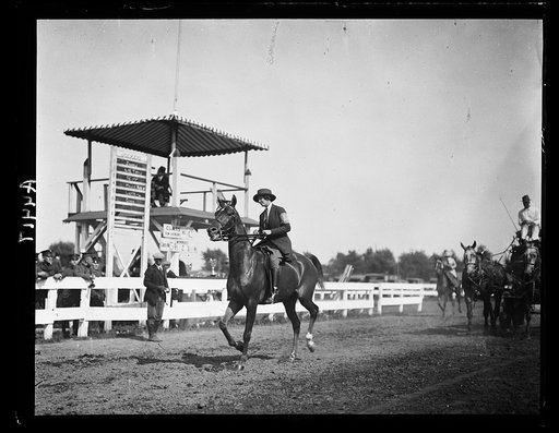 Horse show