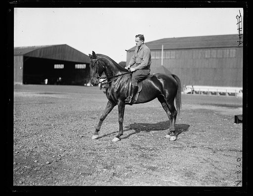 Horse riding
