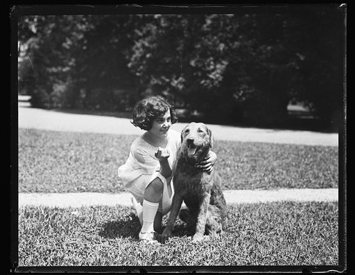 President Harding's dog "Laddie Boy" White House, Washington, D.C.