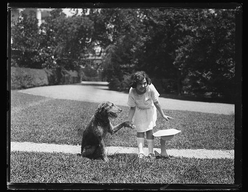 President Harding's dog "Laddie Boy" White House, Washington, D.C.