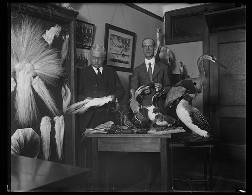 Men with stuffed birds
