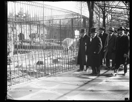 Georges Clemenceau's visit to the National Zoo in D.C. He appears to be in front of the bear cages. J.J. Jusserand, 2nd from left
