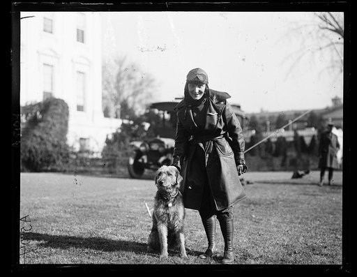 Harding's dog "Laddie Boy" at the White House, Washington, D.C.