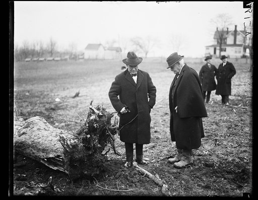Secy. of Agric. Wallace (left) with Dr. Charles E. Monroe viewing effect of war explosives as demonstrated by Dept. of Agric. for removing stumps and rocks from farms